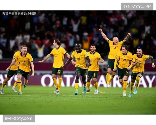 卡马文加与楚阿梅尼：后腰角色差异及法国队体系适配性分析