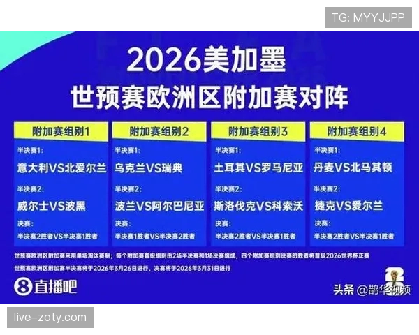 波黑冲击2026世界杯:晋级前景与阵容分析