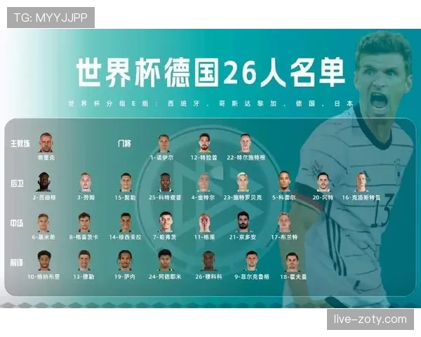 世界杯E组球队实力与出线关系